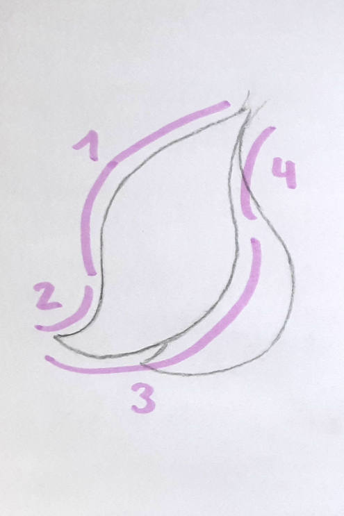 Schritte um eine runde Meerjungfrauenflosse zu zeichnen